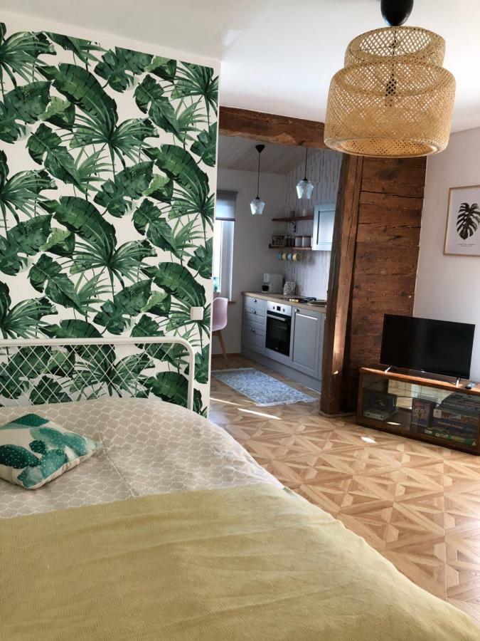 Cute Apartment, Next To Old Town, With Free Parking Ταλίν Εξωτερικό φωτογραφία